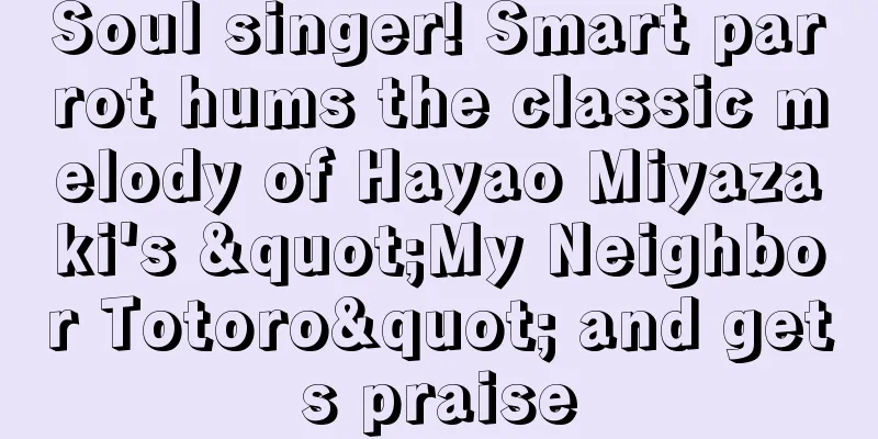 Soul singer! Smart parrot hums the classic melody of Hayao Miyazaki's "My Neighbor Totoro" and gets praise