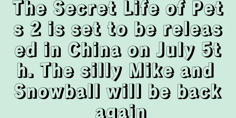 The Secret Life of Pets 2 is set to be released in China on July 5th. The silly Mike and Snowball will be back again