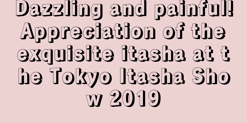 Dazzling and painful! Appreciation of the exquisite itasha at the Tokyo Itasha Show 2019