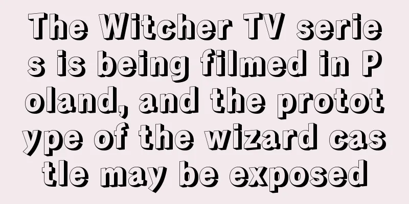 The Witcher TV series is being filmed in Poland, and the prototype of the wizard castle may be exposed