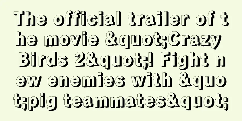 The official trailer of the movie "Crazy Birds 2"! Fight new enemies with "pig teammates"