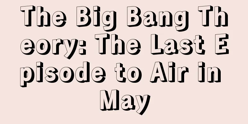 The Big Bang Theory: The Last Episode to Air in May