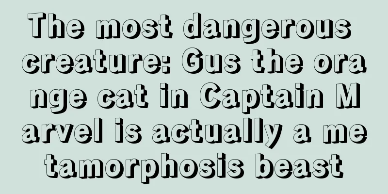 The most dangerous creature: Gus the orange cat in Captain Marvel is actually a metamorphosis beast