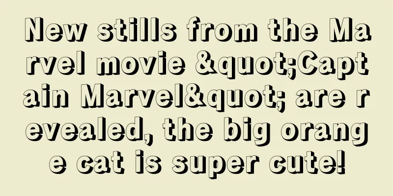 New stills from the Marvel movie "Captain Marvel" are revealed, the big orange cat is super cute!