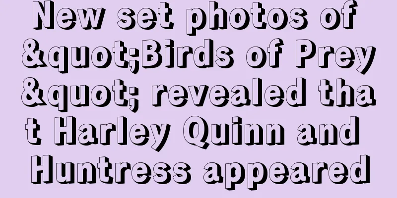 New set photos of "Birds of Prey" revealed that Harley Quinn and Huntress appeared