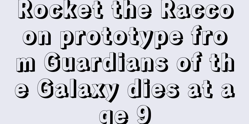 Rocket the Raccoon prototype from Guardians of the Galaxy dies at age 9