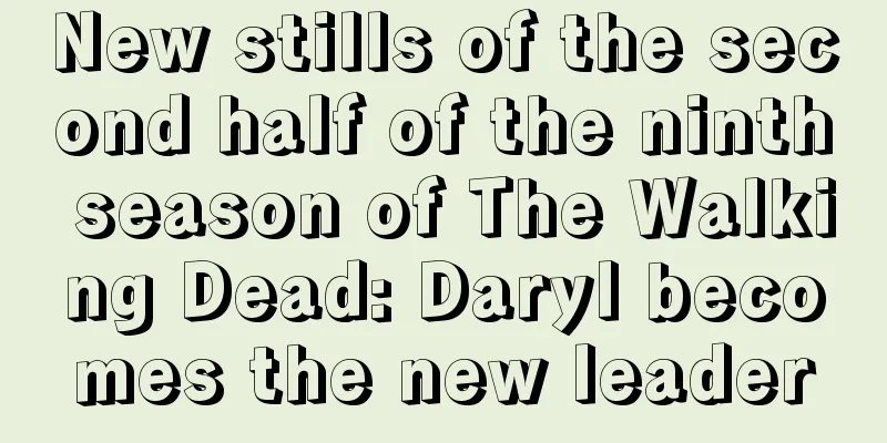 New stills of the second half of the ninth season of The Walking Dead: Daryl becomes the new leader