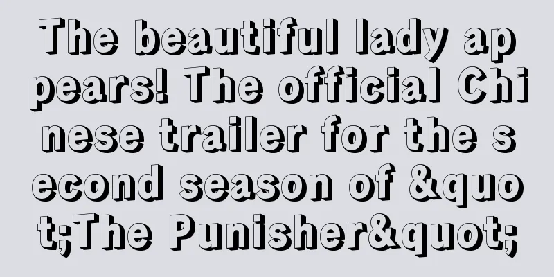 The beautiful lady appears! The official Chinese trailer for the second season of "The Punisher"