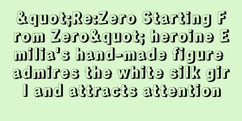 "Re:Zero Starting From Zero" heroine Emilia's hand-made figure admires the white silk girl and attracts attention