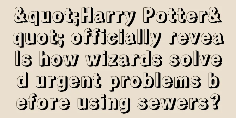"Harry Potter" officially reveals how wizards solved urgent problems before using sewers?