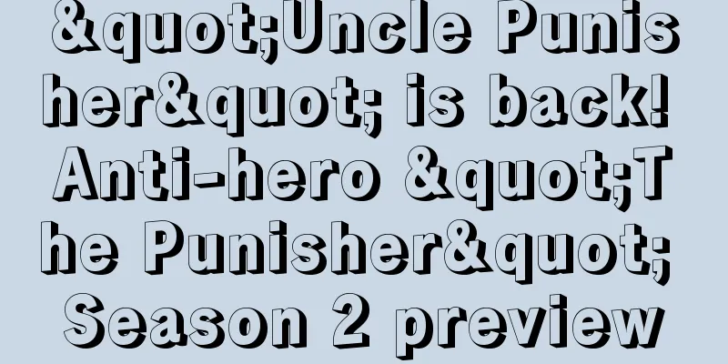 "Uncle Punisher" is back! Anti-hero "The Punisher" Season 2 preview