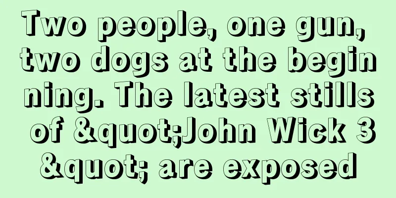 Two people, one gun, two dogs at the beginning. The latest stills of "John Wick 3" are exposed