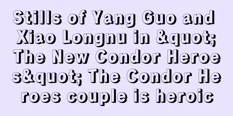 Stills of Yang Guo and Xiao Longnu in "The New Condor Heroes" The Condor Heroes couple is heroic