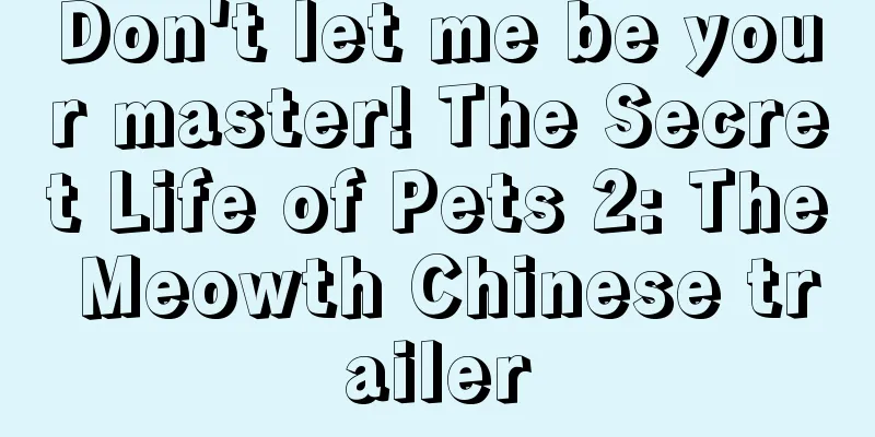 Don't let me be your master! The Secret Life of Pets 2: The Meowth Chinese trailer