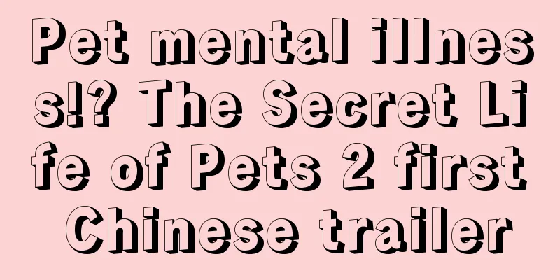 Pet mental illness!? The Secret Life of Pets 2 first Chinese trailer