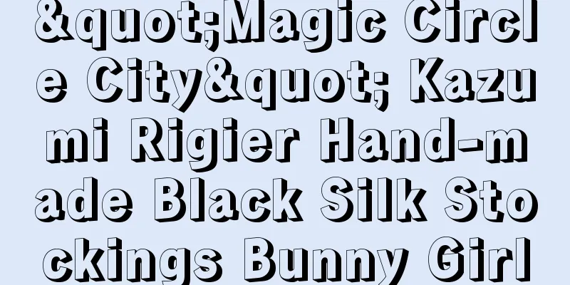 "Magic Circle City" Kazumi Rigier Hand-made Black Silk Stockings Bunny Girl