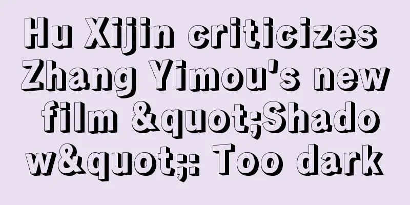 Hu Xijin criticizes Zhang Yimou's new film "Shadow": Too dark