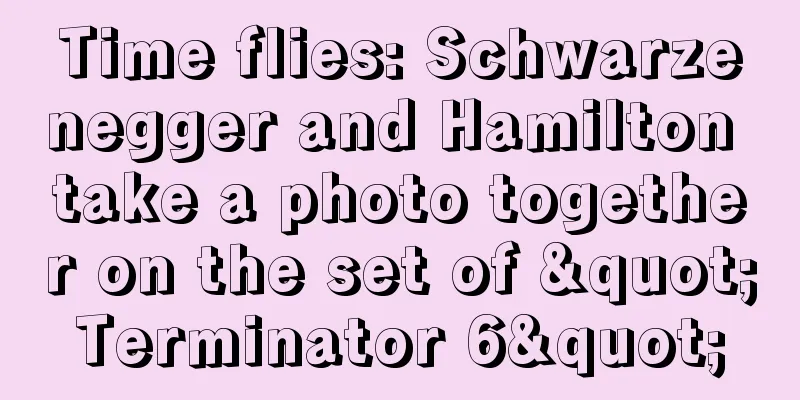 Time flies: Schwarzenegger and Hamilton take a photo together on the set of "Terminator 6"