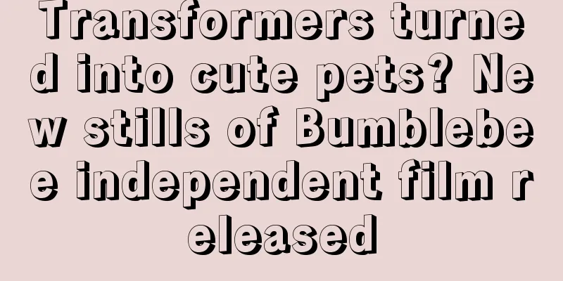 Transformers turned into cute pets? New stills of Bumblebee independent film released