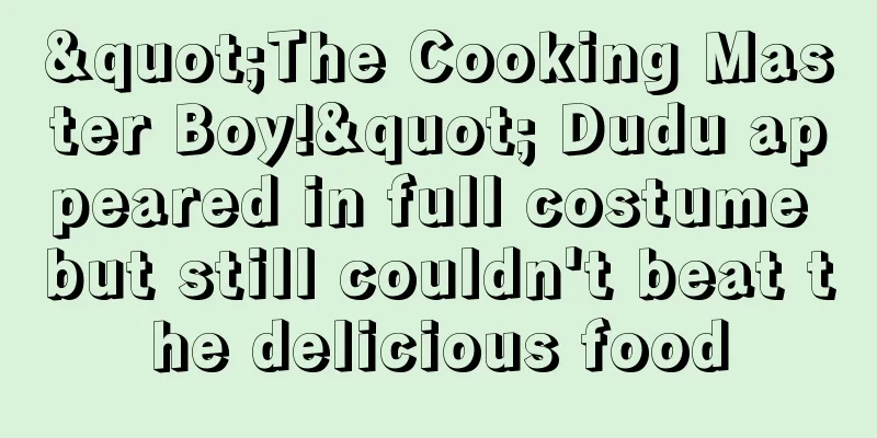"The Cooking Master Boy!" Dudu appeared in full costume but still couldn't beat the delicious food