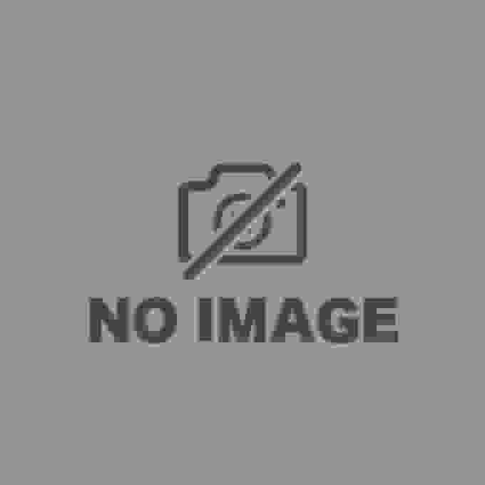 The appeal and evaluation of the shadow picture film "Jack and the Beanstalk": the pinnacle of visual art