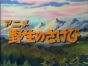 Appeal and evaluation of the anime "Cry of the Wild"