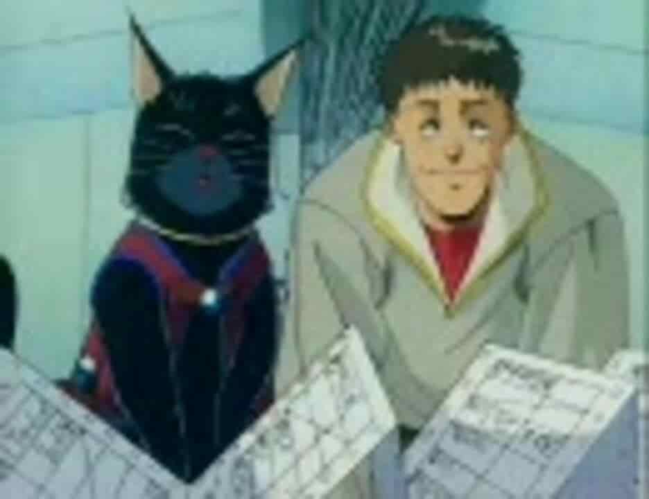The appeal and reviews of "The Enemy is a Pirate: A Feast of Cats": A must-see anime for cat lovers