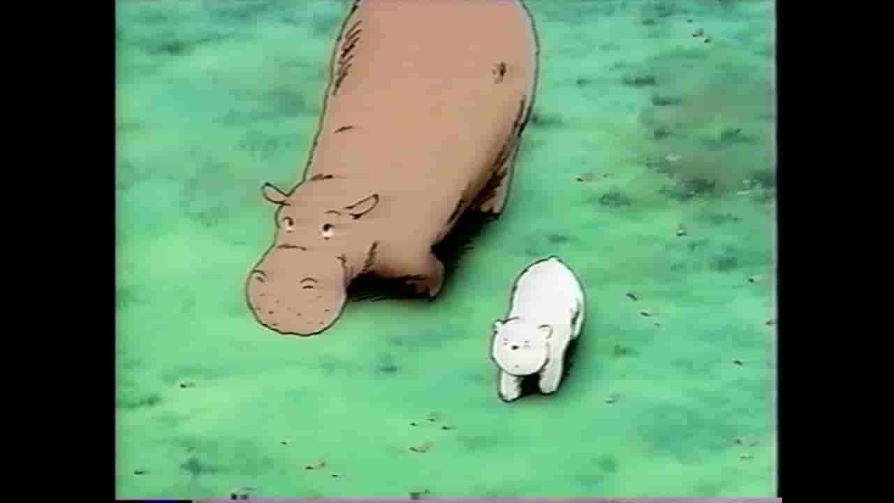 The appeal and reviews of "Where's the Polar Bear?": A thorough analysis of the adventures of a small polar bear