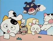 The appeal and reviews of "Tama on Third Street, Do you know my Tama?"