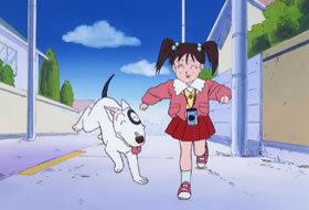 Heisei Dog Story Bau - A thorough analysis of the touching story and the charm of the characters