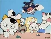 The appeal and evaluation of the "Tama of 3rd Street, Do you know my Tama?" series