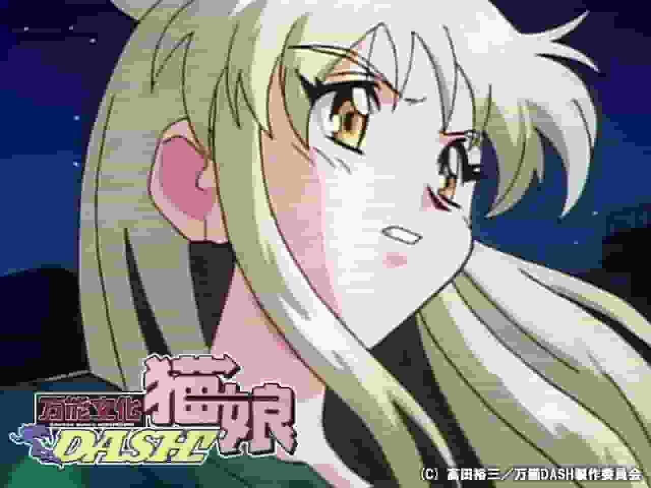 The appeal and evaluation of "All-purpose Cultural Cat Girl DASH!": A must-read review for anime fans