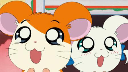 Hamtaro: A thorough review of the hamster story of healing and adventure
