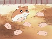 Hamster Club: A thorough evaluation of the attractive characters and depth of the story