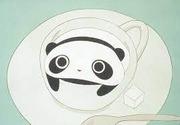 The appeal and reviews of Tarepanda: The definitive soothing anime