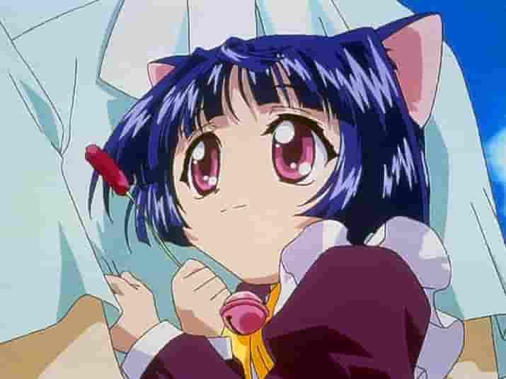 Magical Girl Cat Taruto - A review of the fascinating new anime