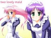 The appeal and evaluation of "Docchimo Maid": A work that can be enjoyed from any perspective