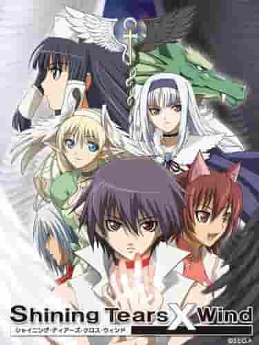 The appeal and reviews of "Shining Tears X Wind": A thorough analysis of the touching story and character depth