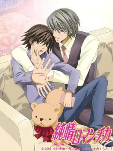 The appeal and reviews of "Junjo Romantica": A moving work that BL fans must see