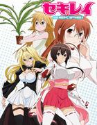 The appeal and reviews of Sekirei: a fusion of action and romance