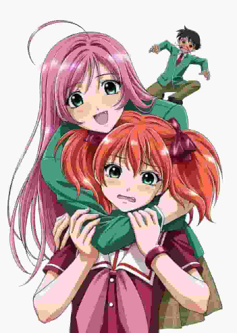 The appeal and evaluation of Rosario + Vampire CAPU 2 [Chuu~♥]: The sequel's depth and character growth