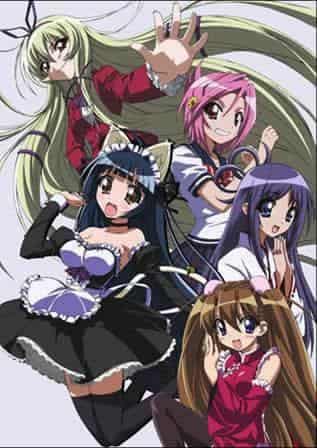 The appeal and reviews of Penguin Girl♥Heart: A deep look into the unique characters and story