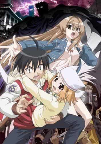 The appeal and evaluation of Seto no Hanayome OVA: A deeper story and the evolution of characters