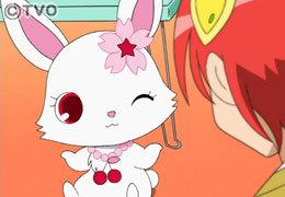 The appeal and reviews of Jewelpet: A thorough explanation of the story of magic and friendship