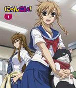 The appeal and reviews of Nyankoi!: The harmony of cat ears and youth