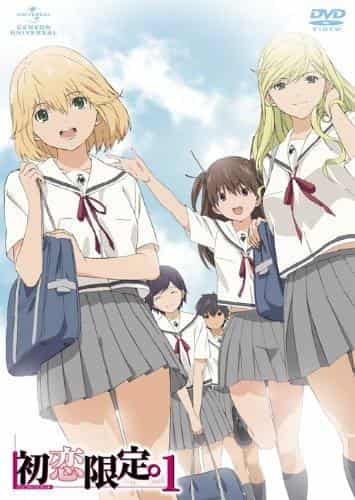 First Love Limited. The appeal and evaluation of the DVD version video bonus "Limited Girl"