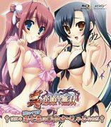 A thorough review of Shin Koihime Jumusou: The Southern Island Vacation of the Heroes! There are even slip-ups!