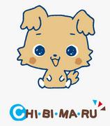 The appeal and reviews of "CHIBIMARU": A moving story woven with a small adventure
