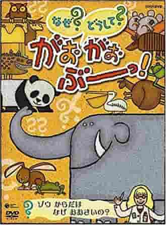 The appeal and evaluation of "Why? How? Gah Gah Boo!"