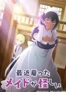 Is your recently hired maid suspicious? A review that will unravel the mystery